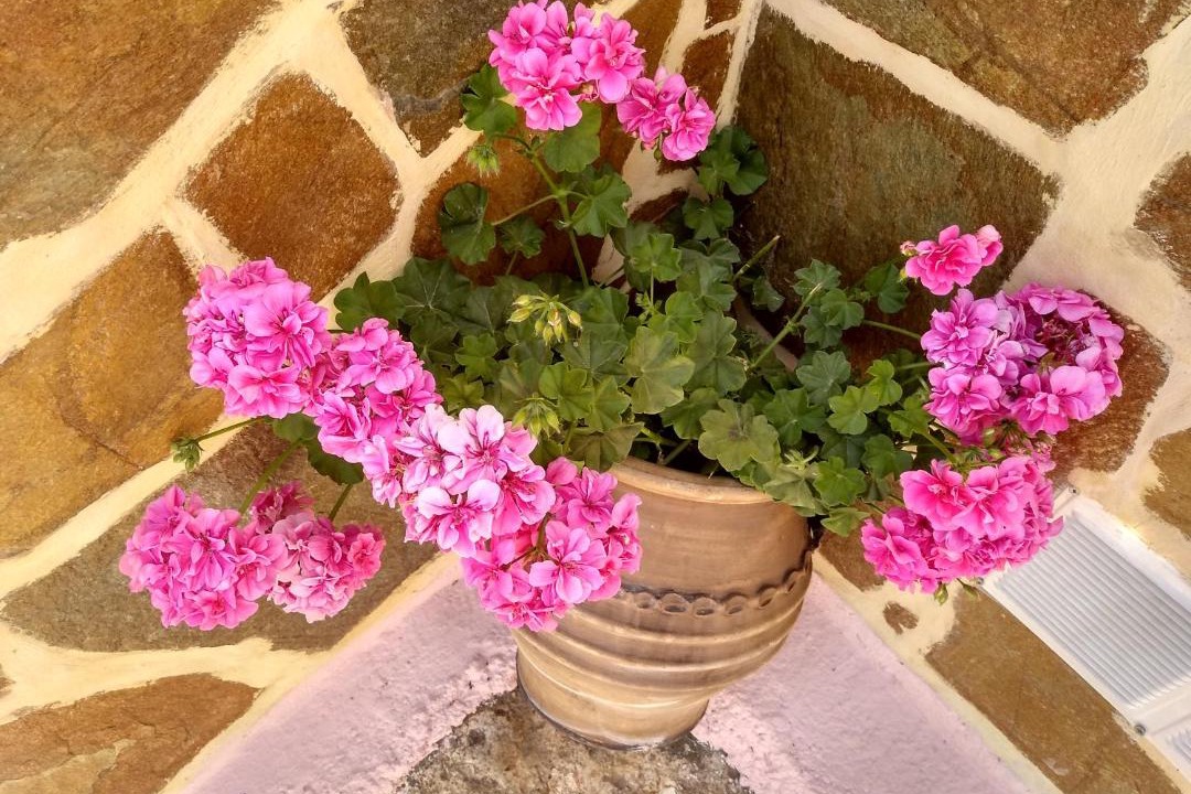 Photo of Patio Balcony in Platanias Town