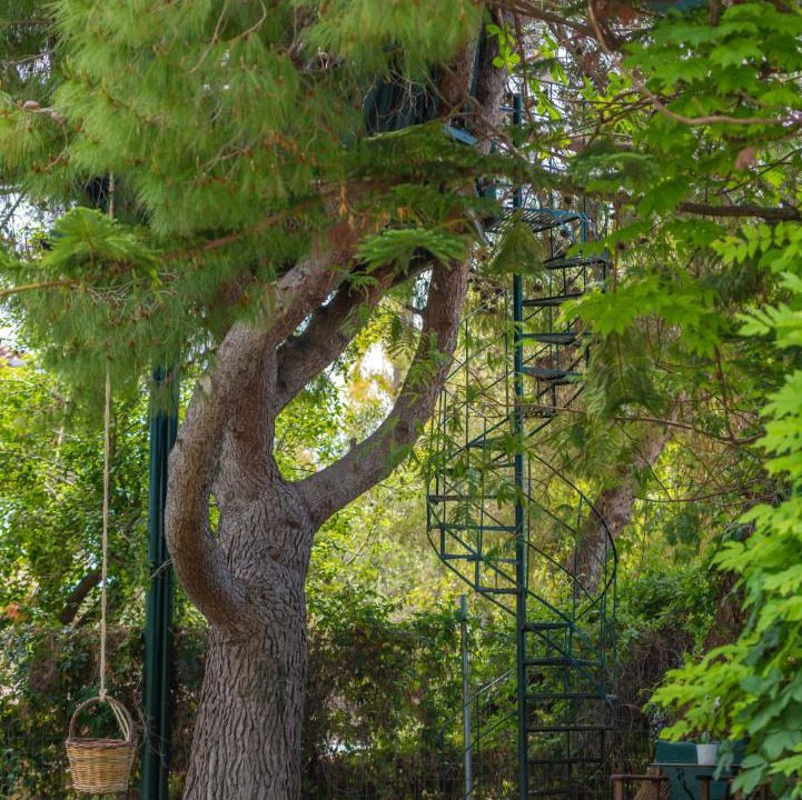 Photo of Outdoor in Zakynthos