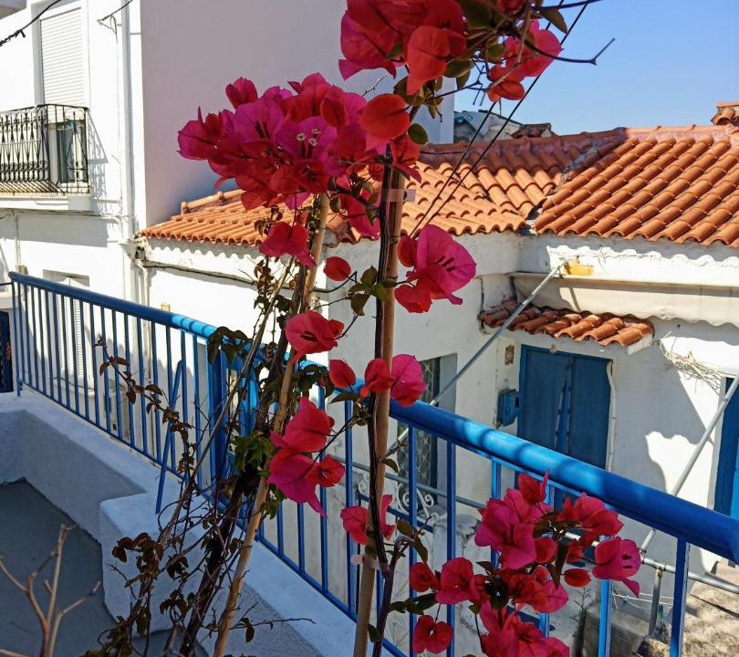 Photo of Others in Skiathos Town