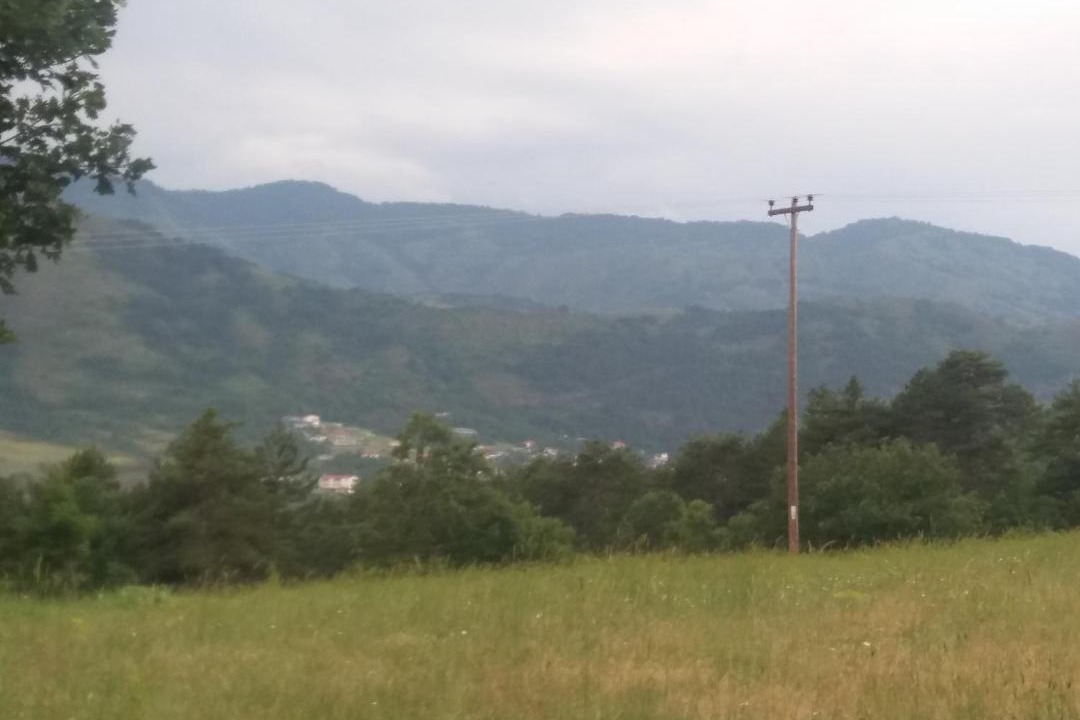 Photo of Others in Kakoplevrion