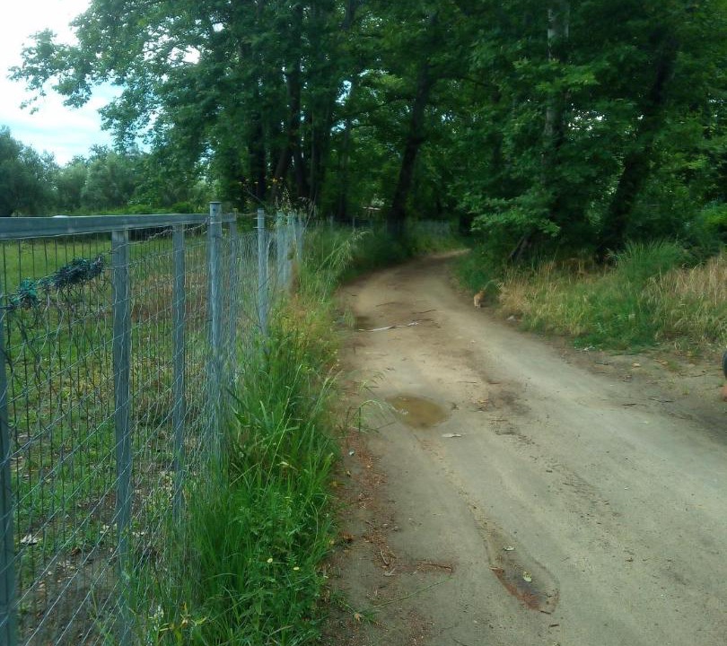 Photo of Outdoor in Sarti