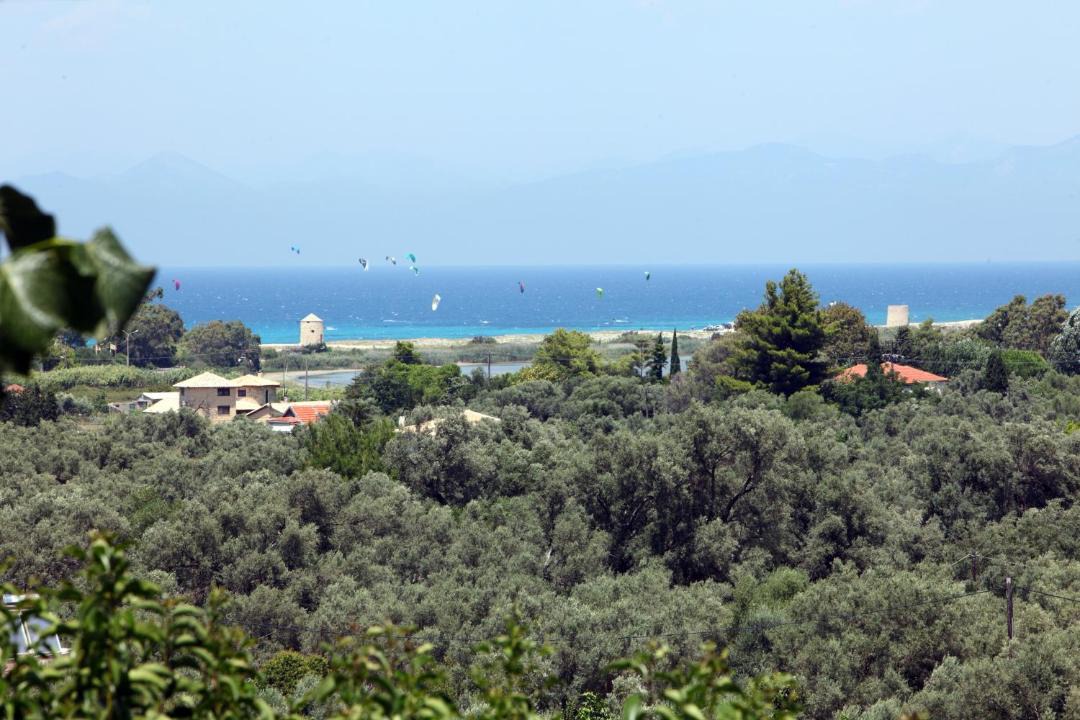 Photo of Others in Frinion