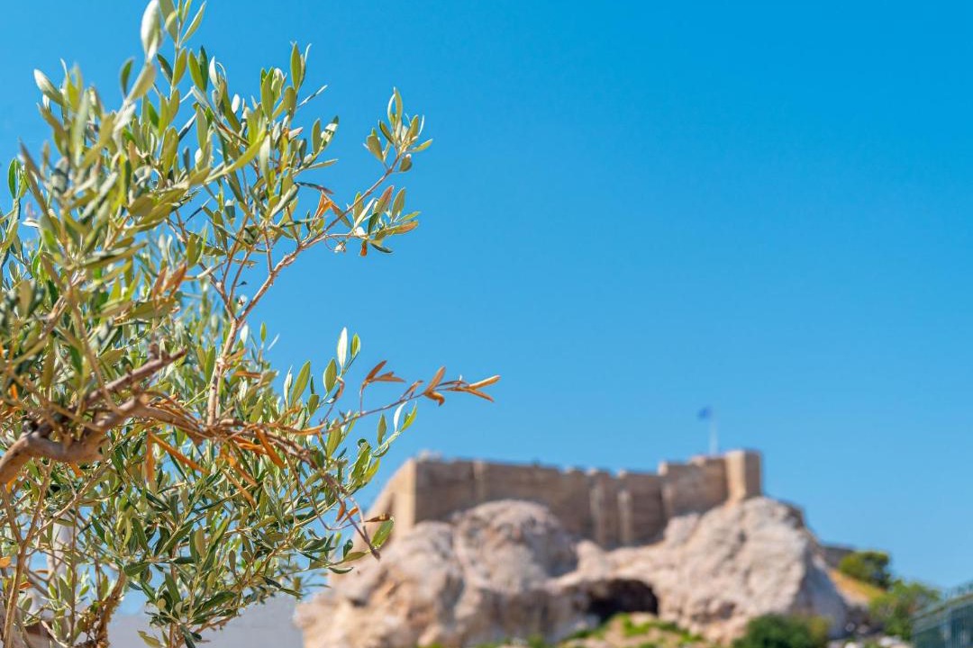 Photo of Outdoor in Plaka