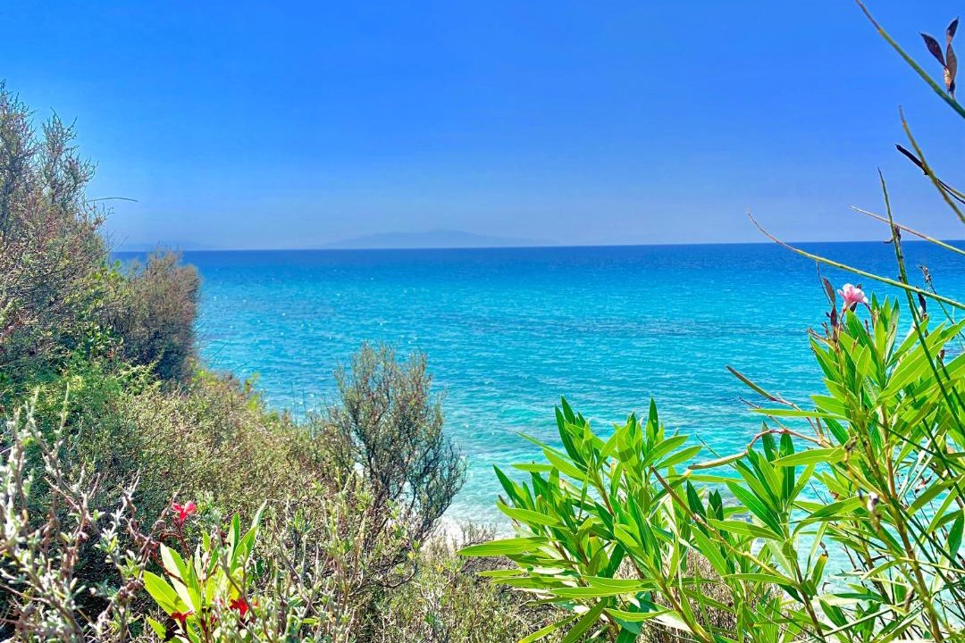 Photo of Others in Kassandra