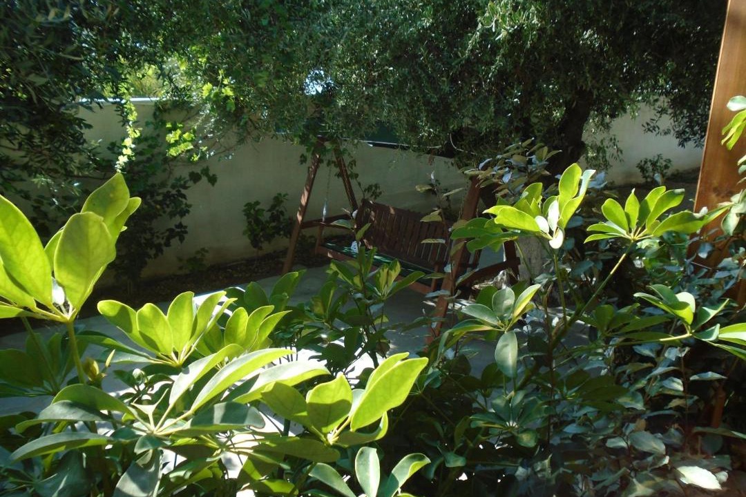Photo of Others in Alinda