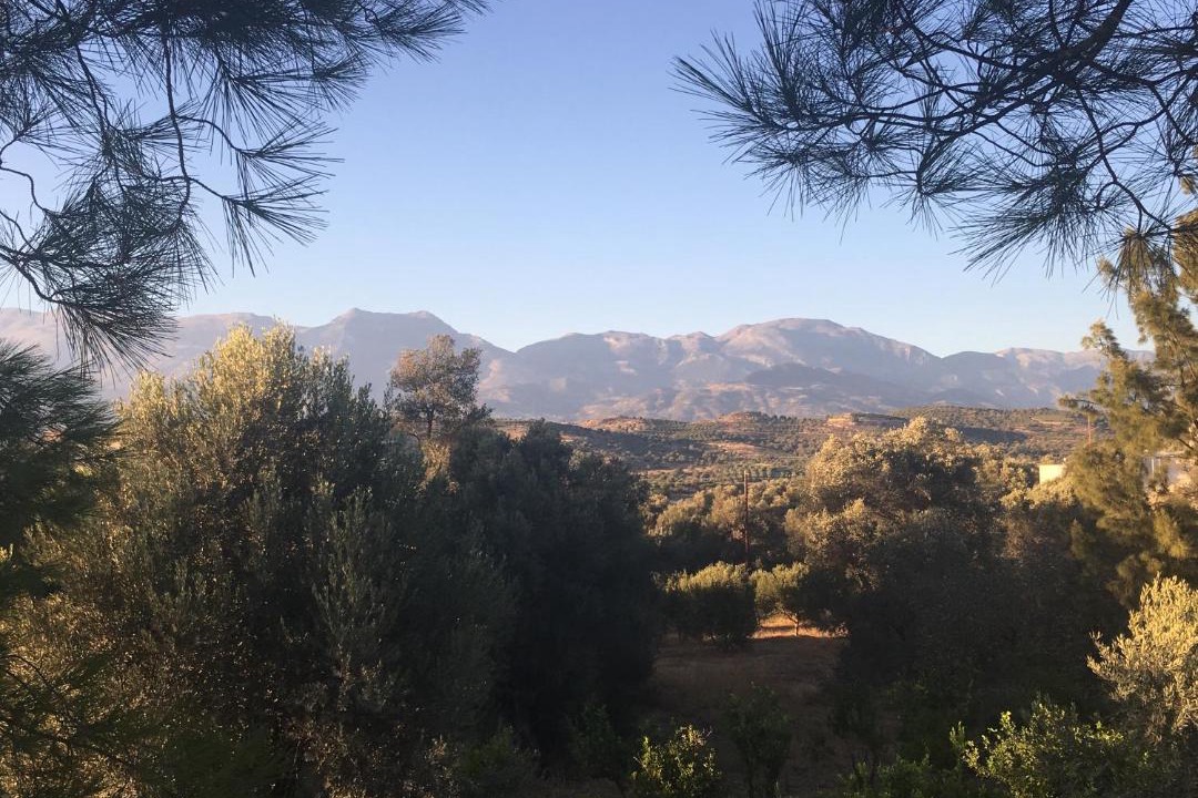 Photo of Outdoor in Kamilari