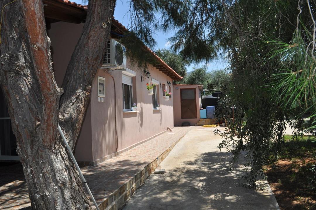 Photo of Buildings in Megalos Prinos