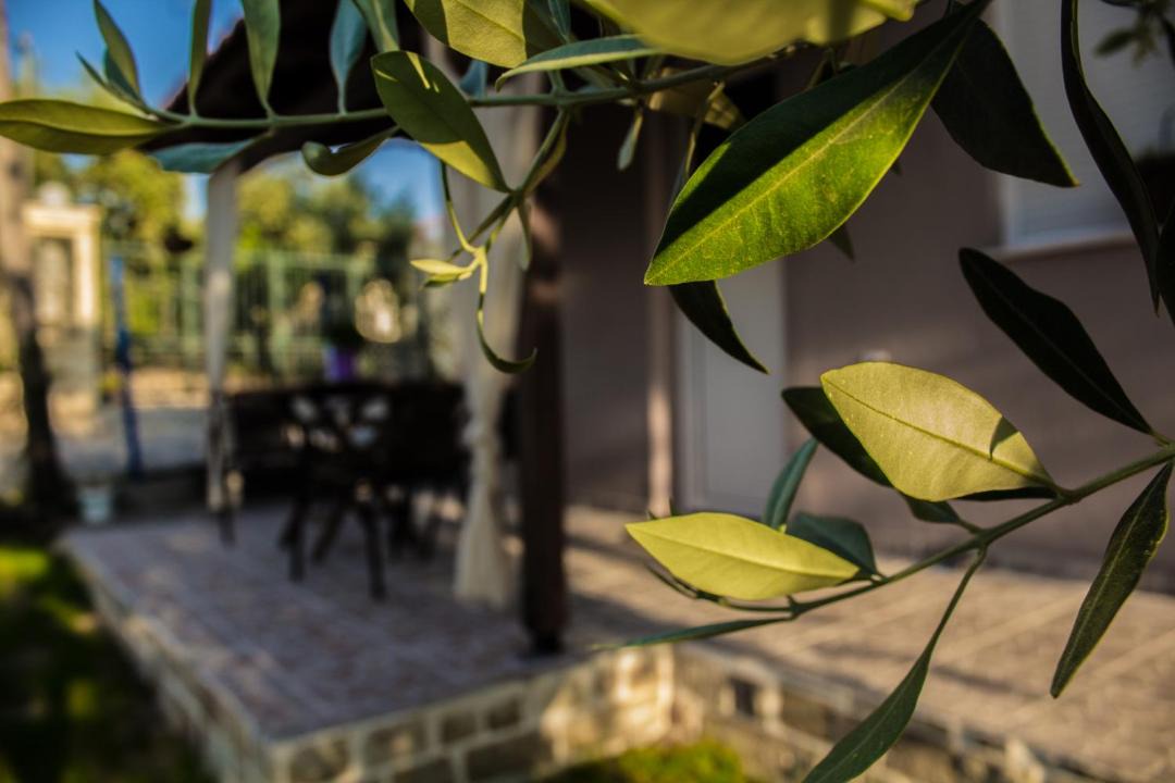 Photo of Patio Balcony in Megalos Prinos
