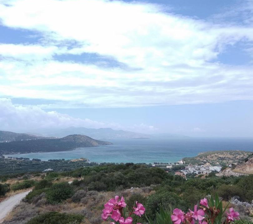Photo of Others in Kalo Chorio