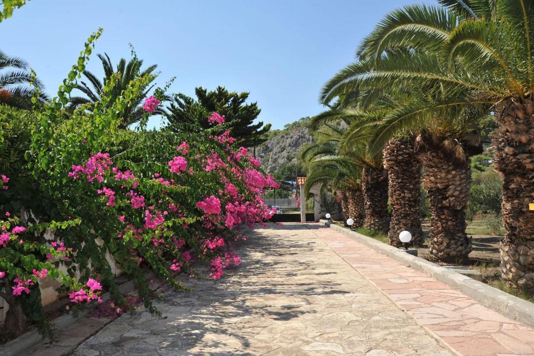 Photo of Others in Phocis Region