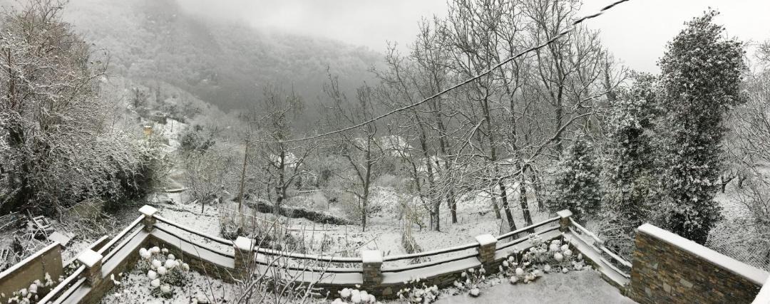 Photo of Others in Tsagarada