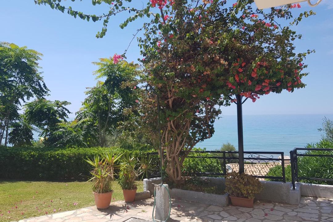 Photo of Outdoor in Parelia