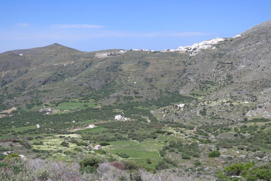 Photo of Others in Aegiali