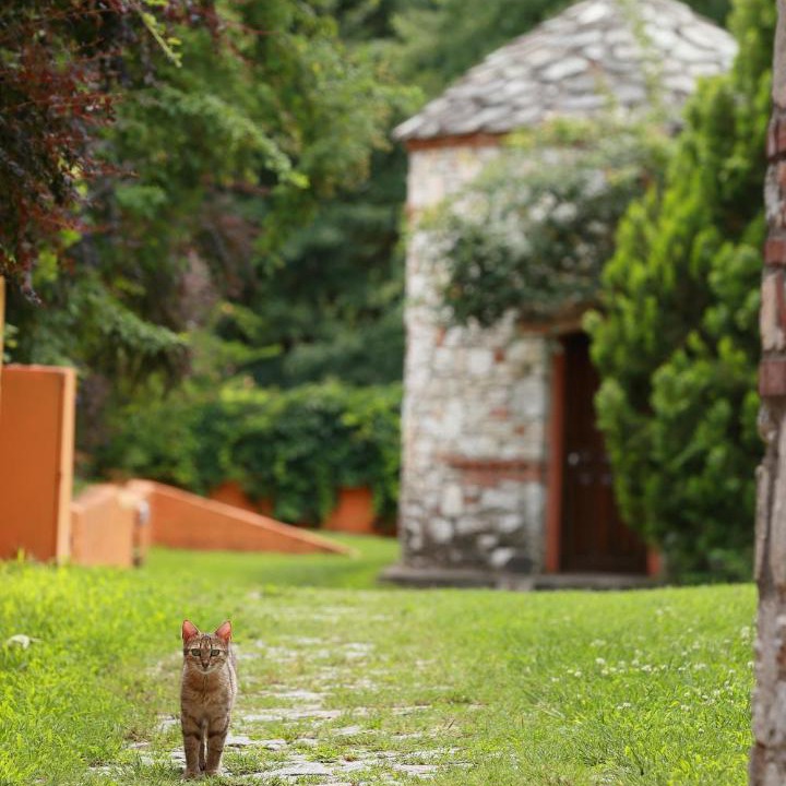 Photo of Others in Xanthi