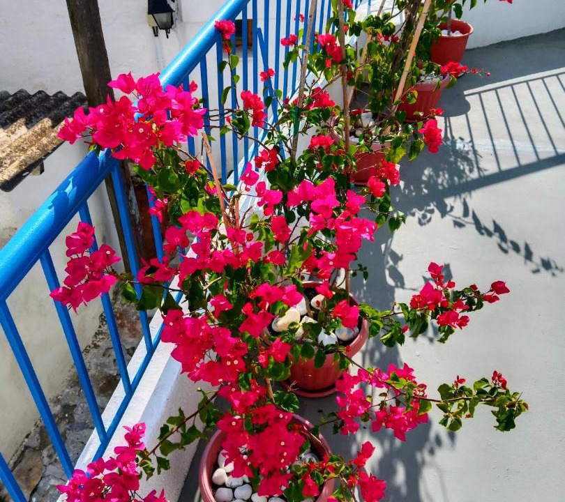 Photo of Patio Balcony in Skiathos Town