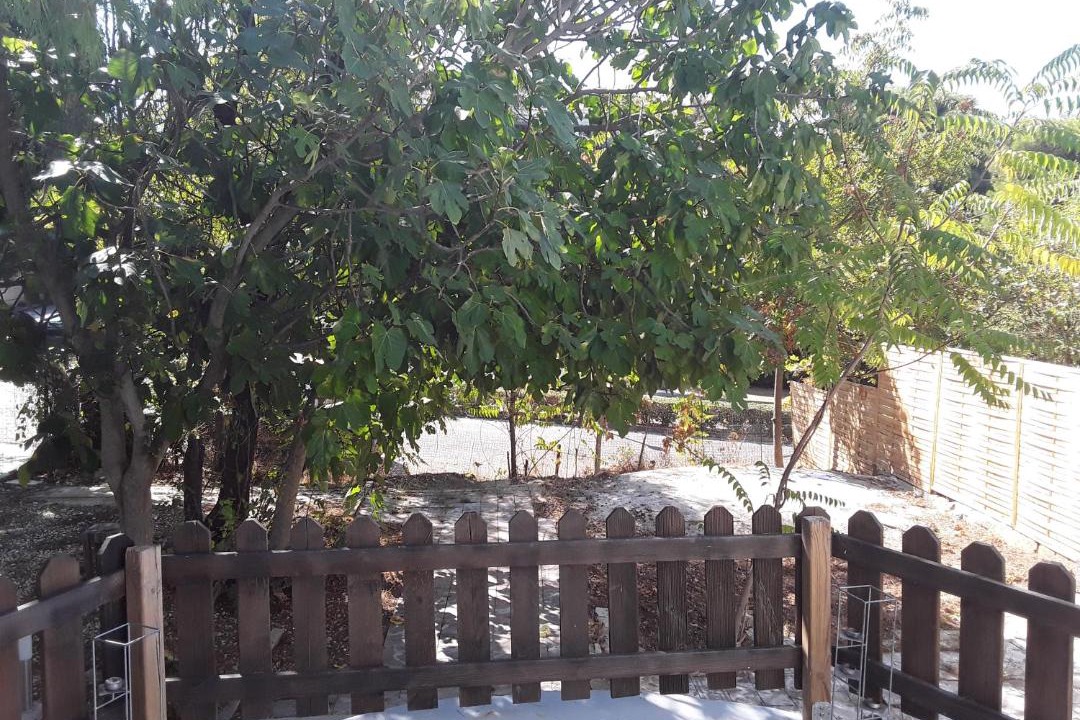 Photo of Buildings in Nea Erithraia