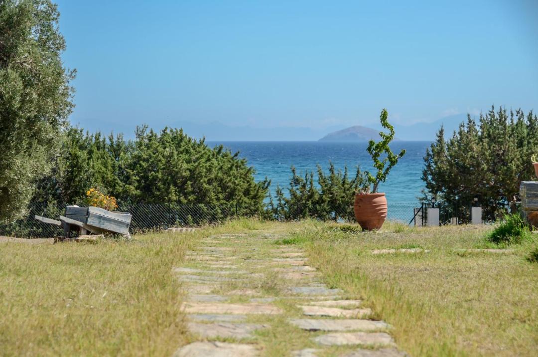 Photo of Others in Naxos