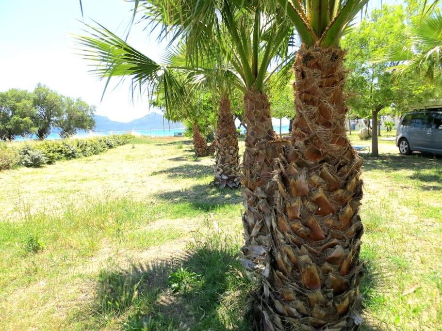 Photo of Others in Methoni