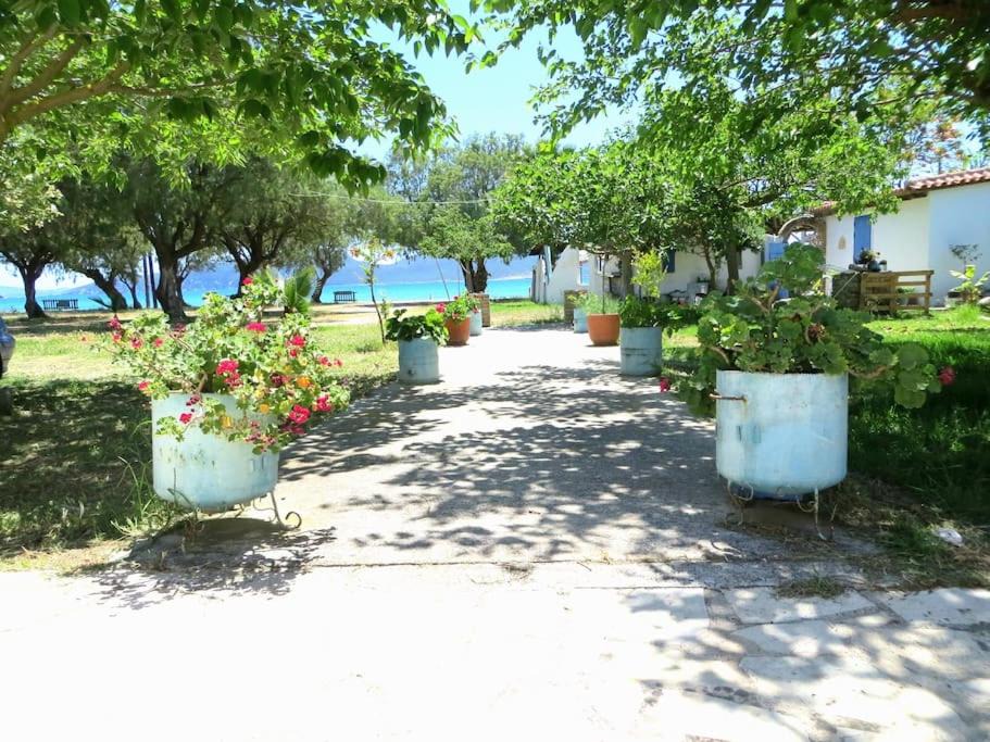 Photo of Others in Methoni