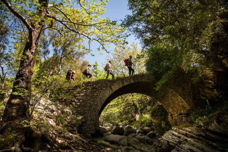 Photo of Others in Abeliona