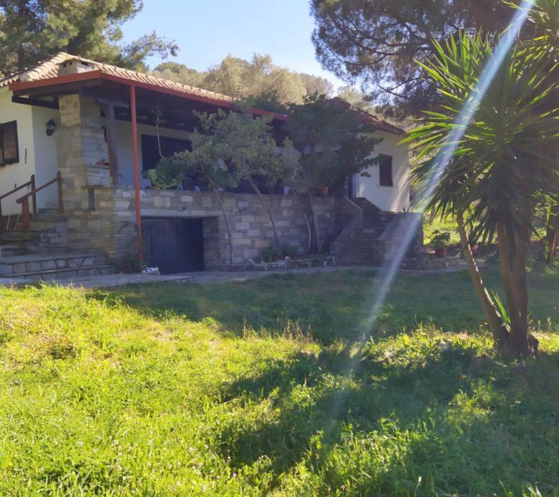 Photo of Others in Aristotelis