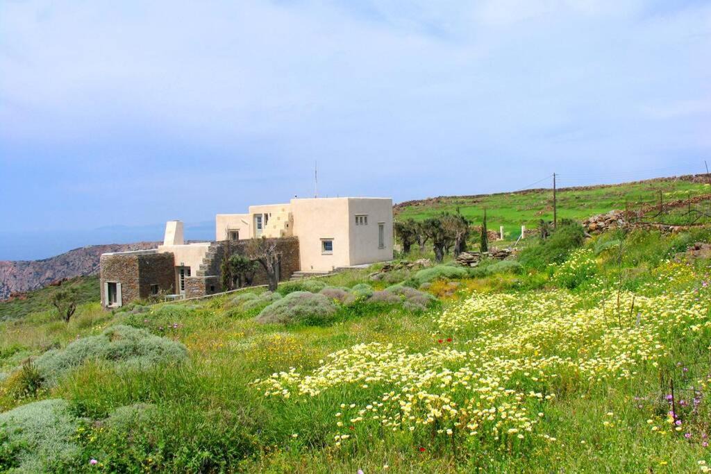 Photo of Others in Sifnos