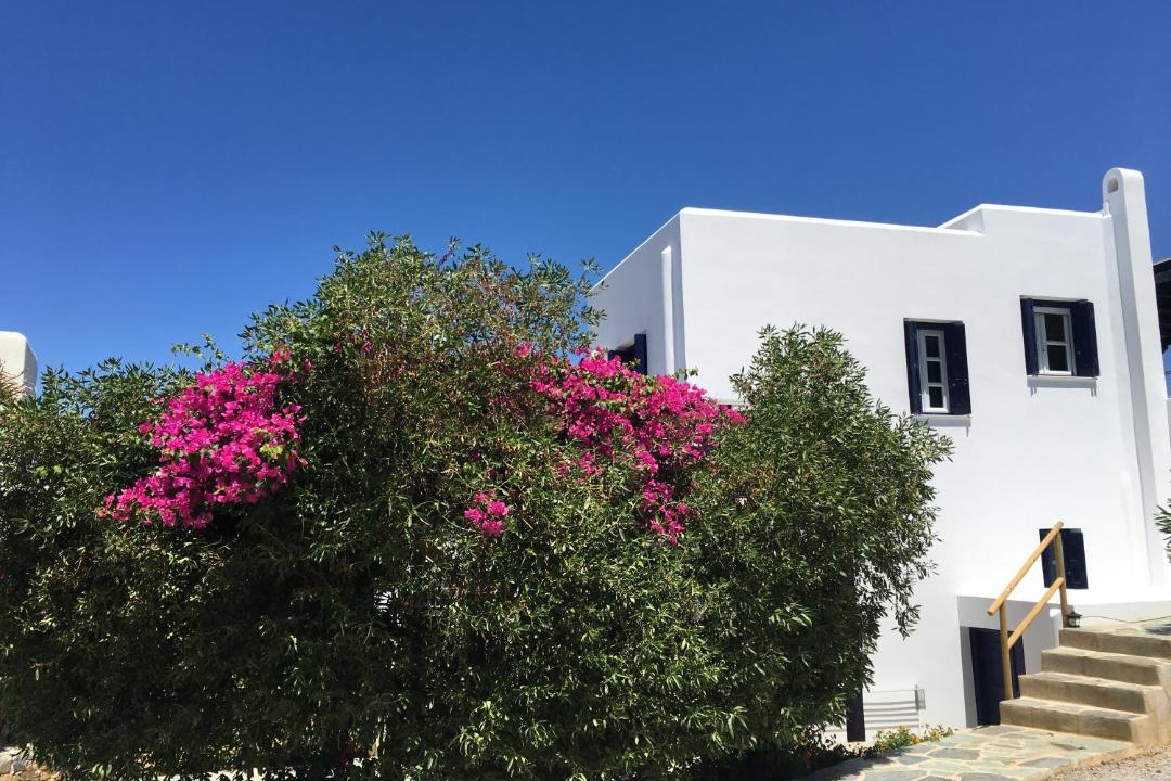 Photo of Buildings in Naxos