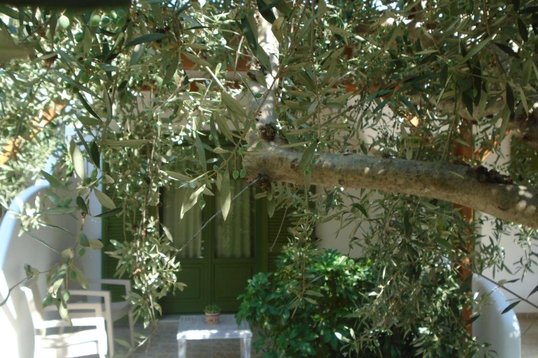 Photo of Others in Alinda