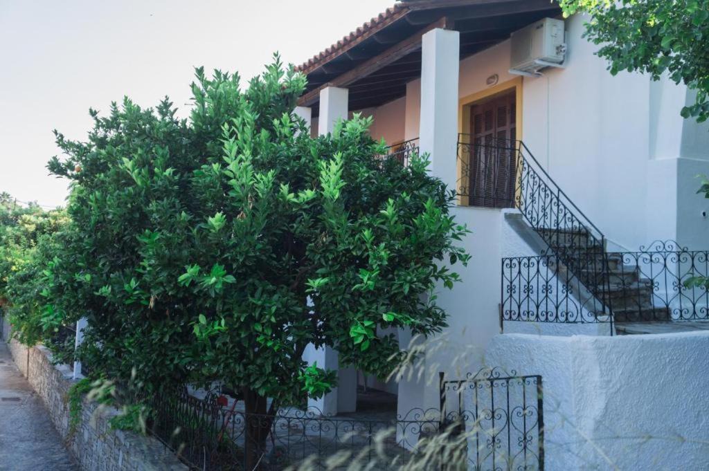 Photo of Buildings in Kavala
