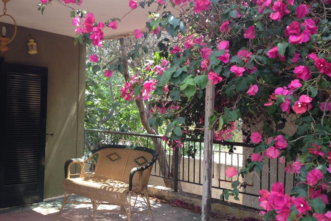Photo of Patio Balcony in Thymari