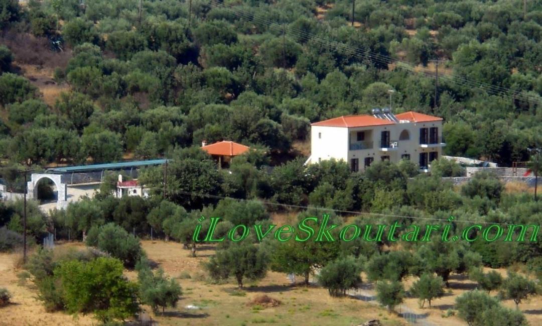 Photo of Others in Skoutari