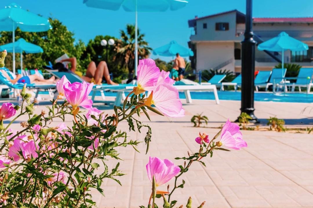 Photo of Others in Parga