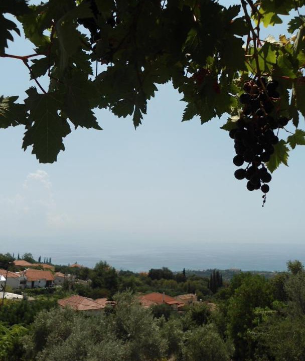 Photo of Others in Leivathos
