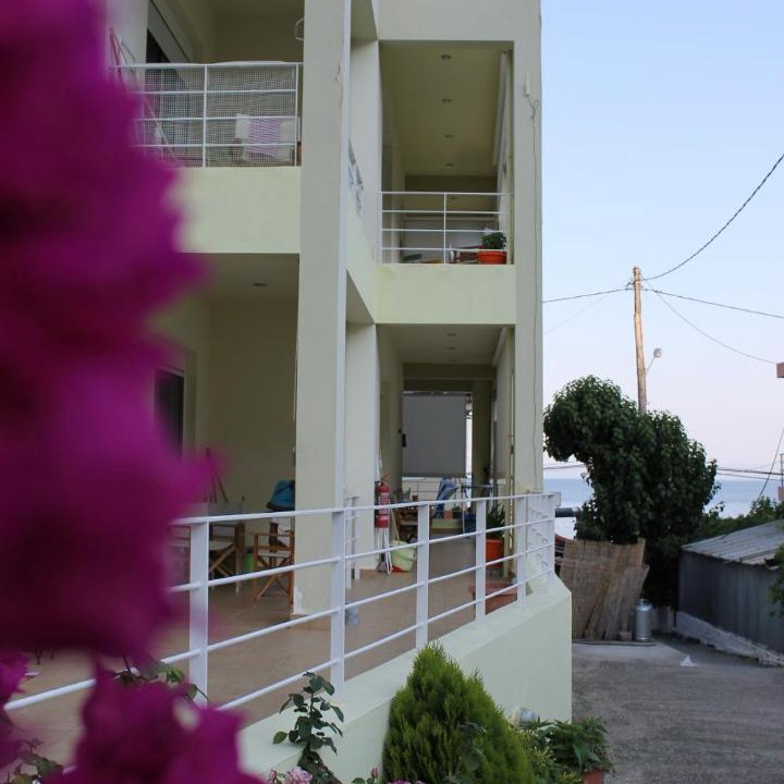 Photo of Others in Ilia