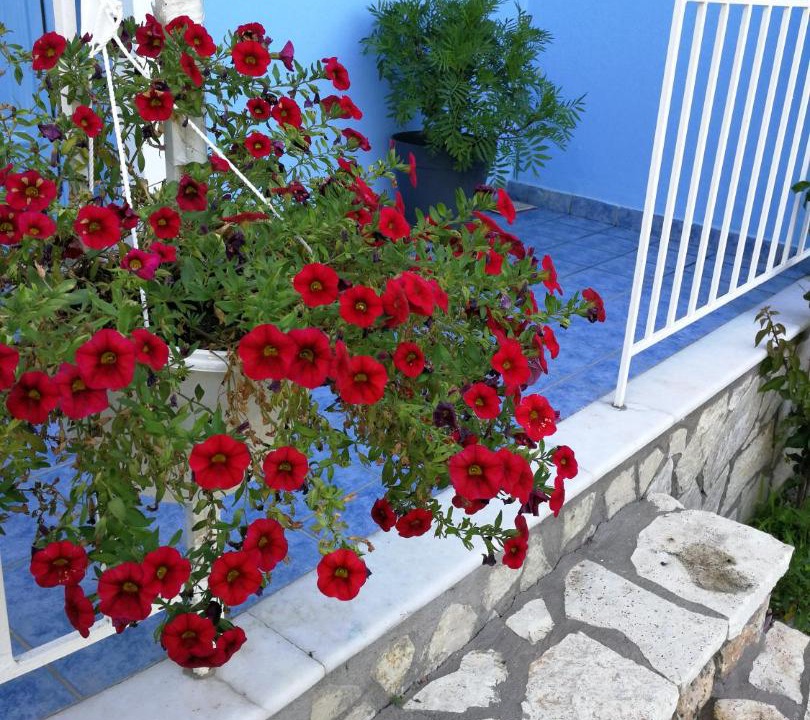 Photo of Patio Balcony in Kalamitsi