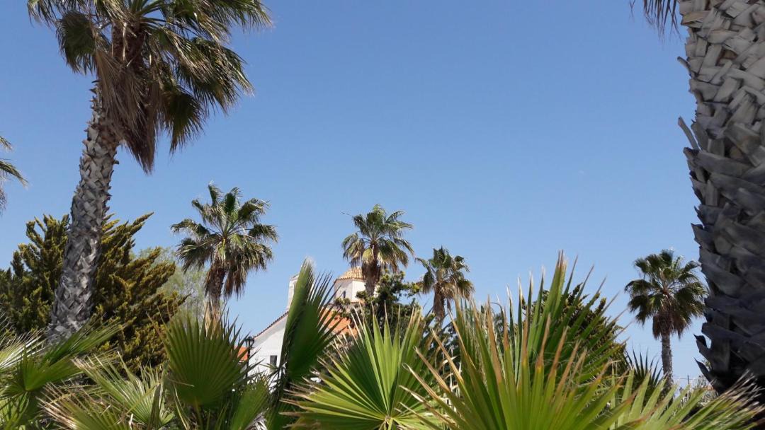 Photo of Outdoor in Agios Georgios