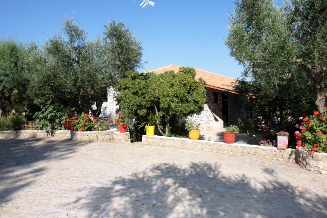 Photo of Others in Vasilikos