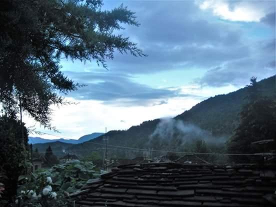 Photo of Others in Tsepelovo