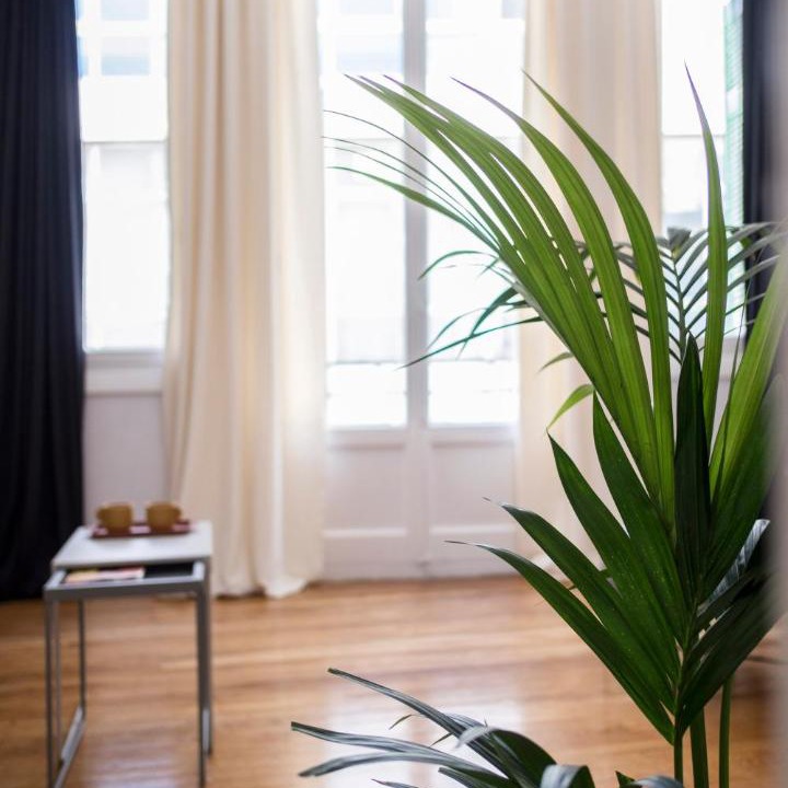 Photo of Livingroom in Plaka