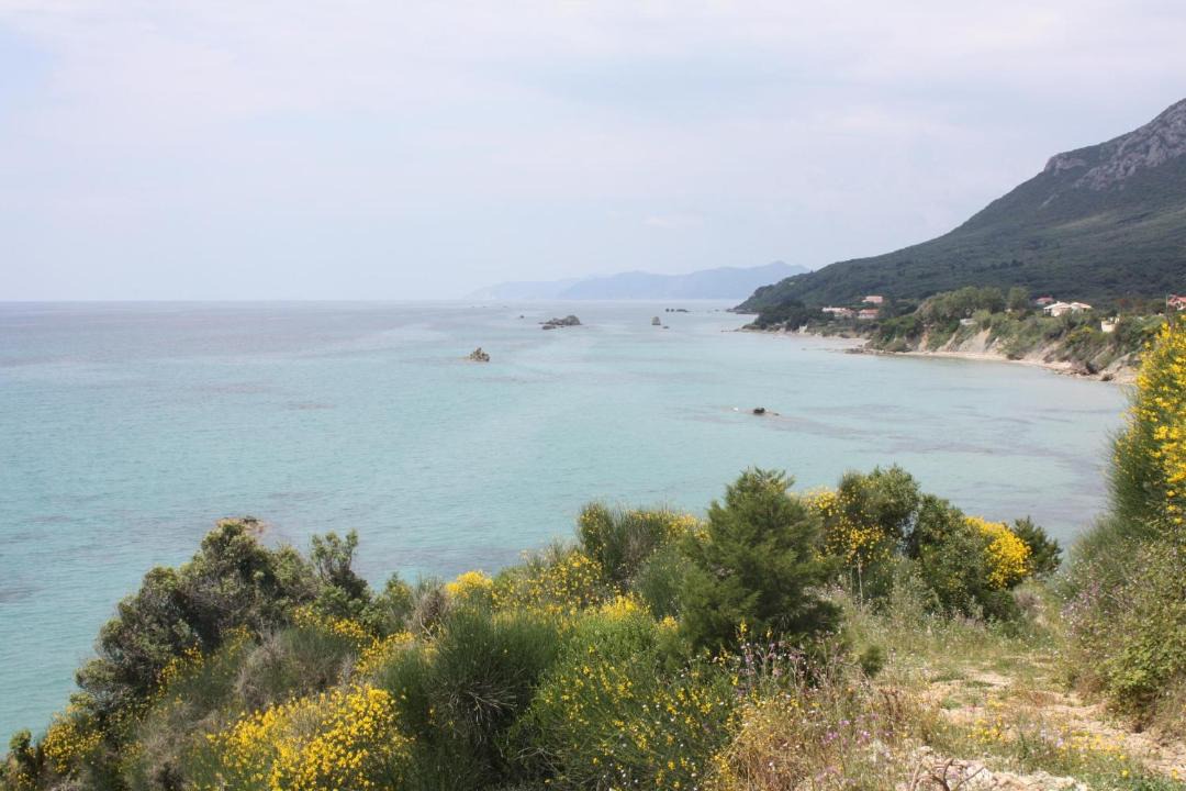Photo of Outdoor in Dafnata