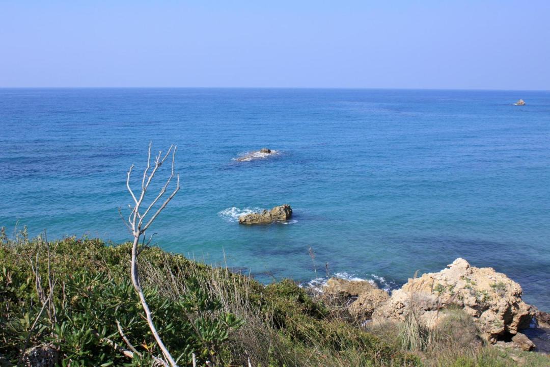 Photo of Outdoor in Dafnata