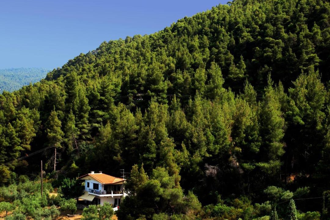 Photo of Others in Sithonia
