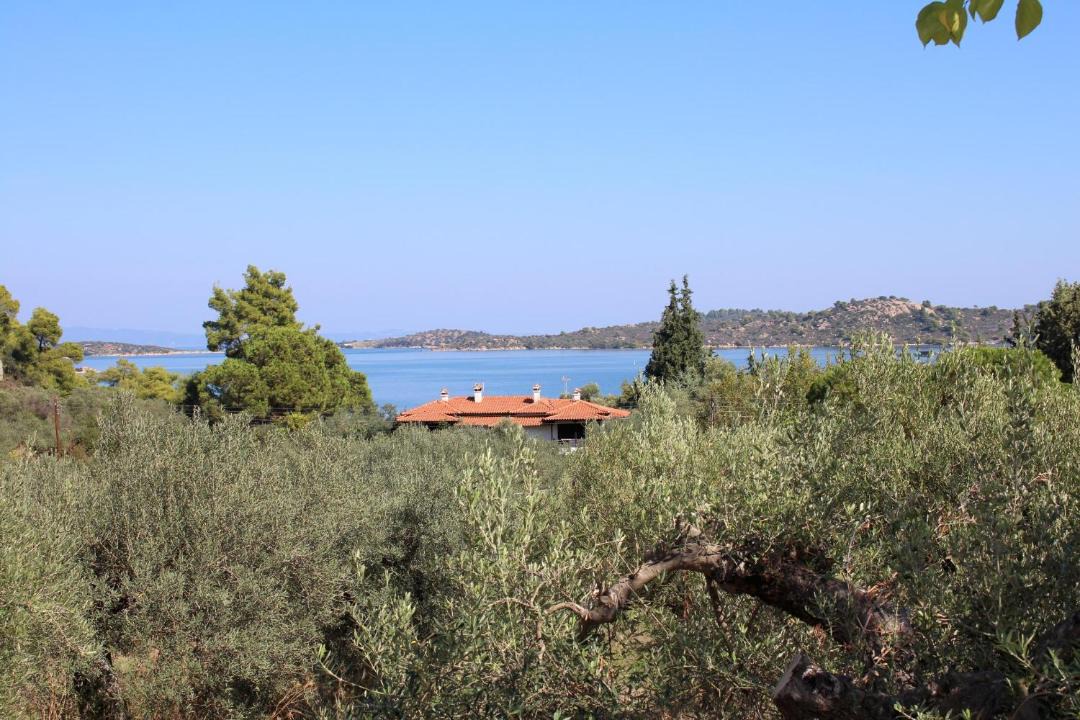 Photo of Others in Sithonia