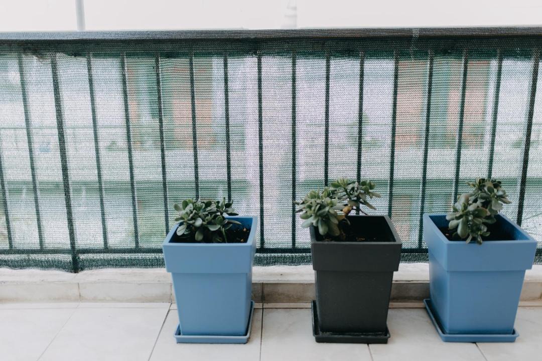 Photo of Patio Balcony in Zavlani