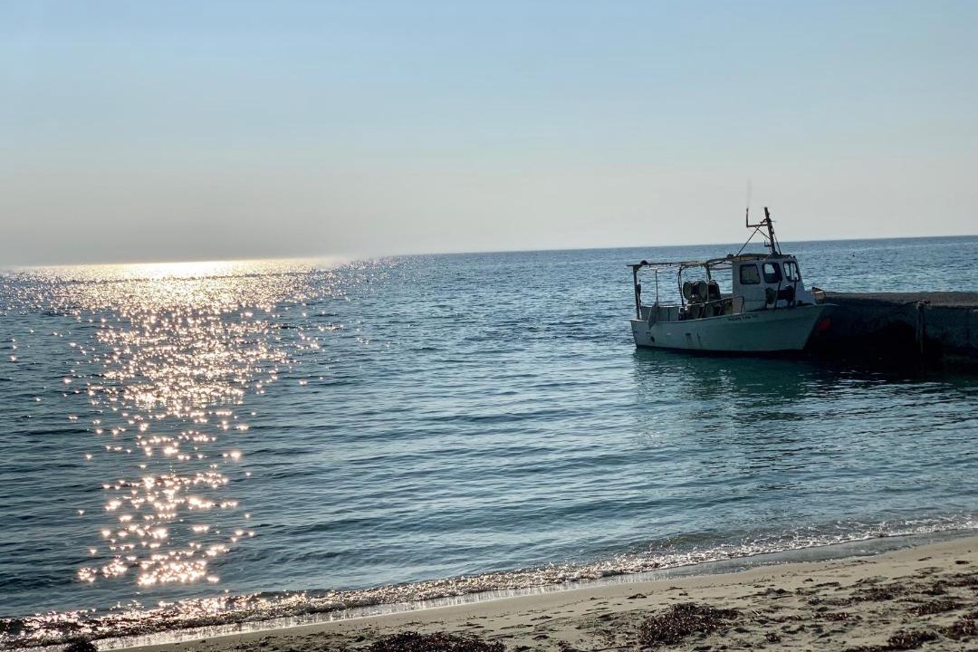 Photo of Others in Kassandra
