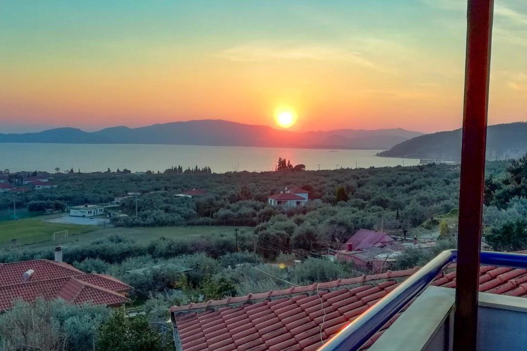 Photo of Others in Agria