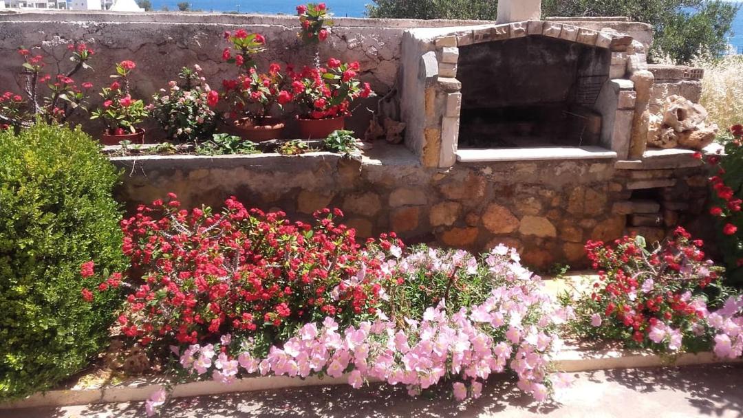Photo of Others in Makry Gialos