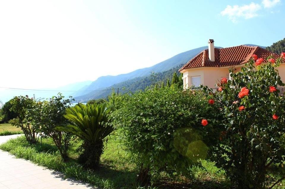 Photo of Others in Veria
