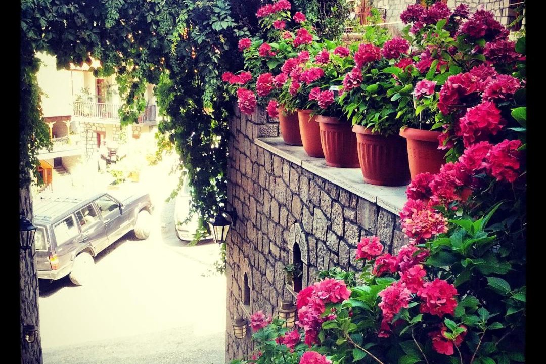 Photo of Others in Metsovo