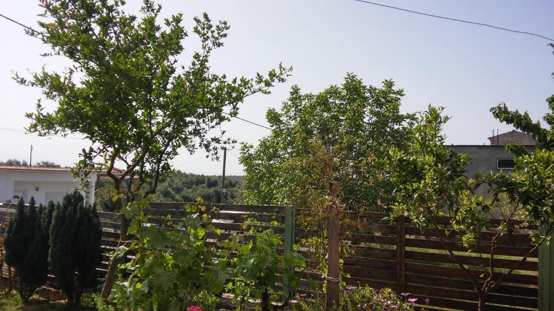 Photo of Outdoor in Messini